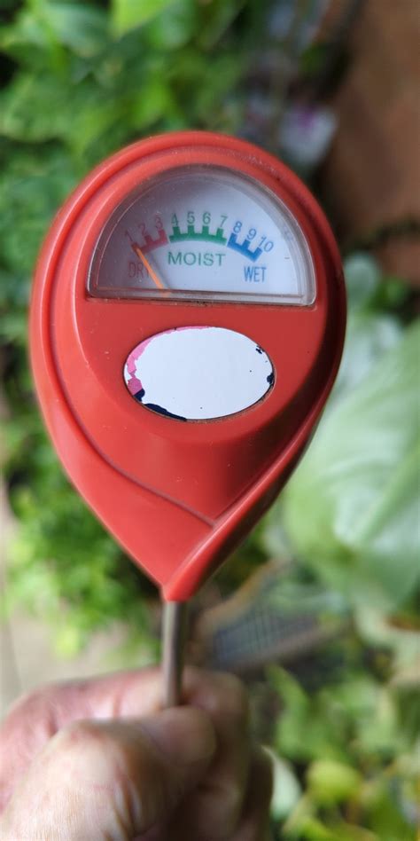 tomato moisture level meter instructions